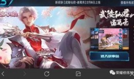 瑶最新爆料皮肤多少钱,惊喜还是失望？