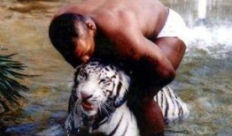 王老虎被爆料视频大全最新,揭秘娱乐圈惊人内幕