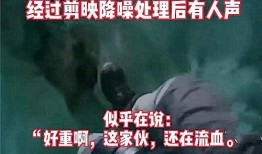 北京爆料大王事件视频播放,视频曝光背后的真相与争议