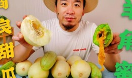 吃瓜最多的网红,揭秘吃瓜最多的网红传奇