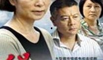 电视剧保姆妈妈,温情演绎母爱如海的人生篇章