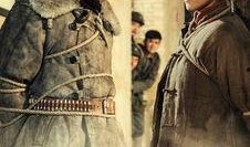 秦豆娘电视剧在线观看,穿越时空的甜蜜邂逅