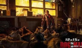 狗神电影在线观看,在线观看，探寻忠诚与勇气的传奇故事